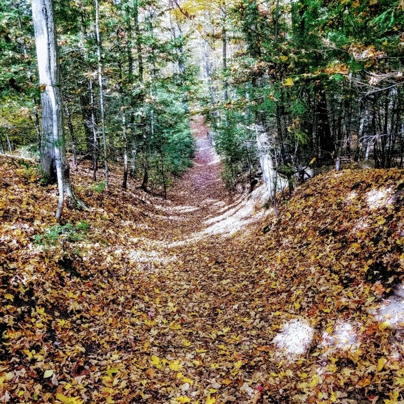 Meet your Posher, Alexis - Picture 1 of 1